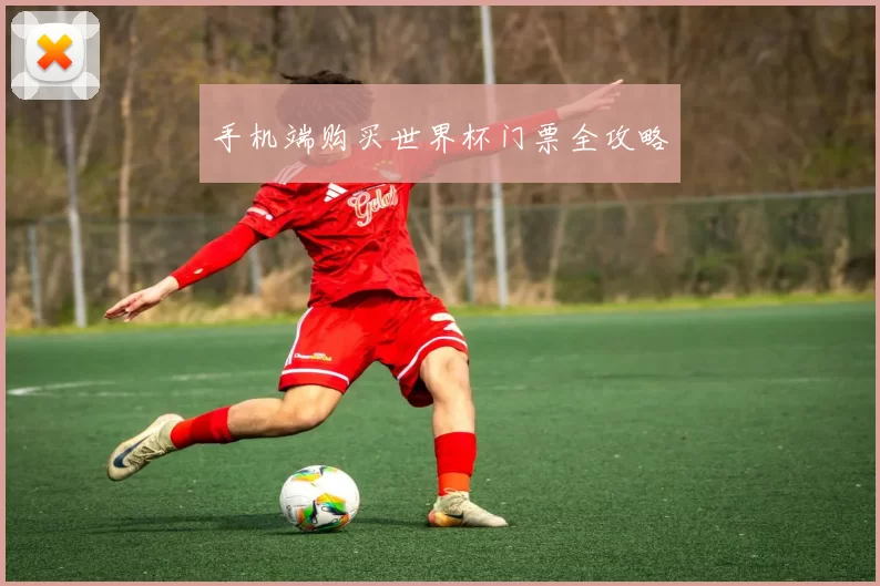 手机端购买世界杯门票全攻略