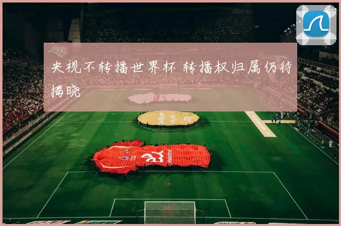 央视不转播世界杯 转播权归属仍待揭晓