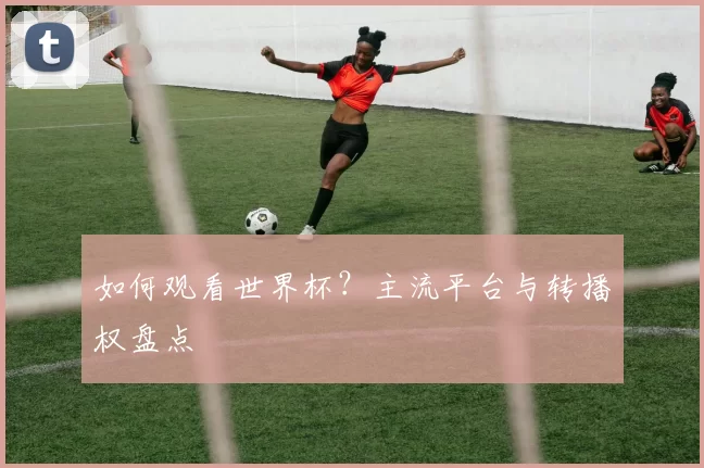 如何观看世界杯?主流平台与转播权盘点