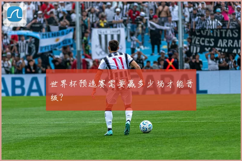 世界杯预选赛需要赢多少场才能晋级?