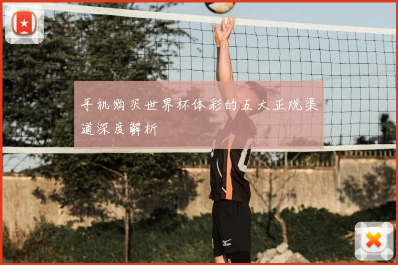 手机购买世界杯体彩的五大正规渠道深度解析