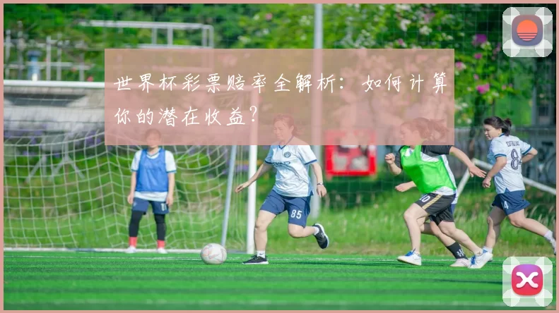 世界杯彩票赔率全解析:如何计算你的潜在收益?