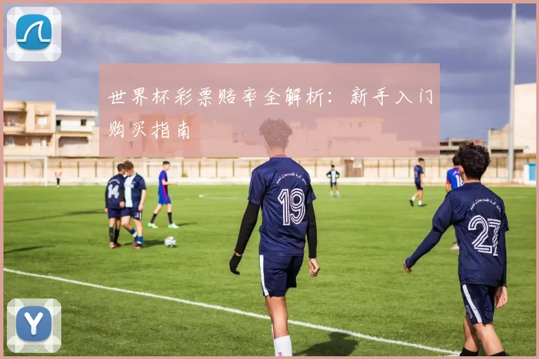 世界杯彩票赔率全解析:新手入门购买指南