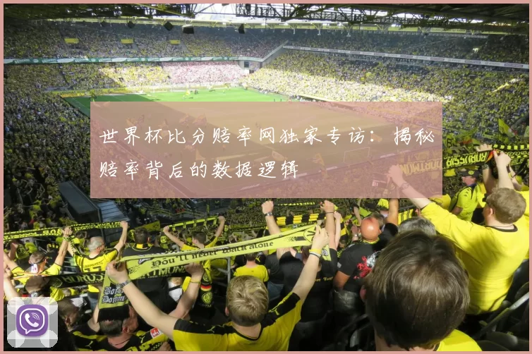 世界杯比分赔率网独家专访：揭秘赔率背后的数据逻辑