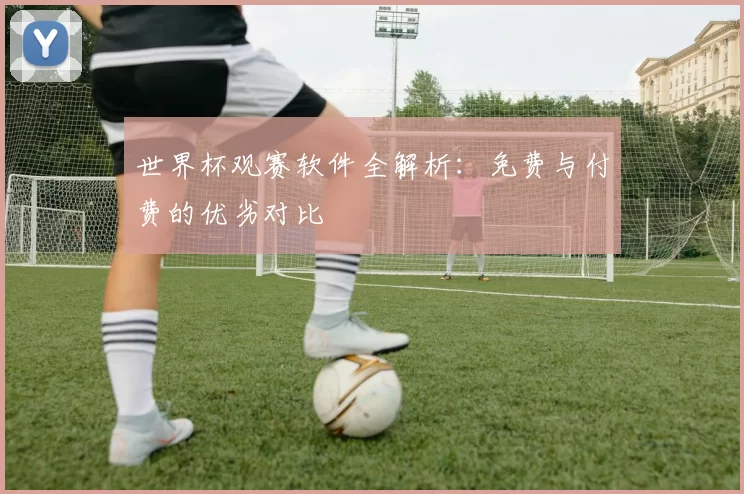 世界杯观赛软件全解析：免费与付费的优劣对比