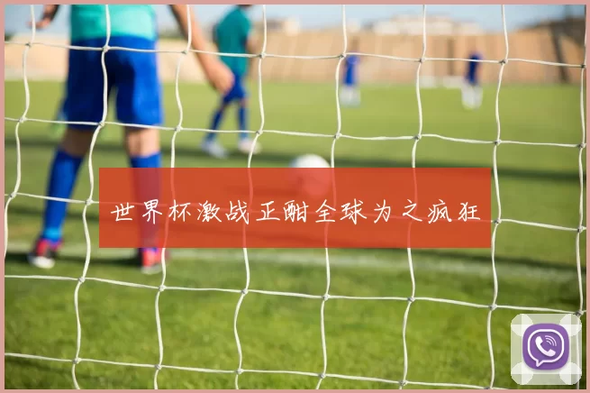 世界杯激战正酣全球为之疯狂