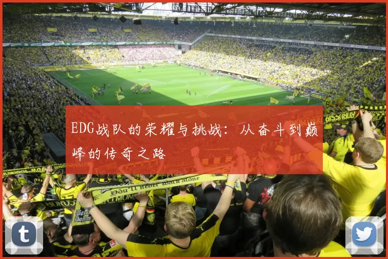 EDG战队的荣耀与挑战:从奋斗到巅峰的传奇之路