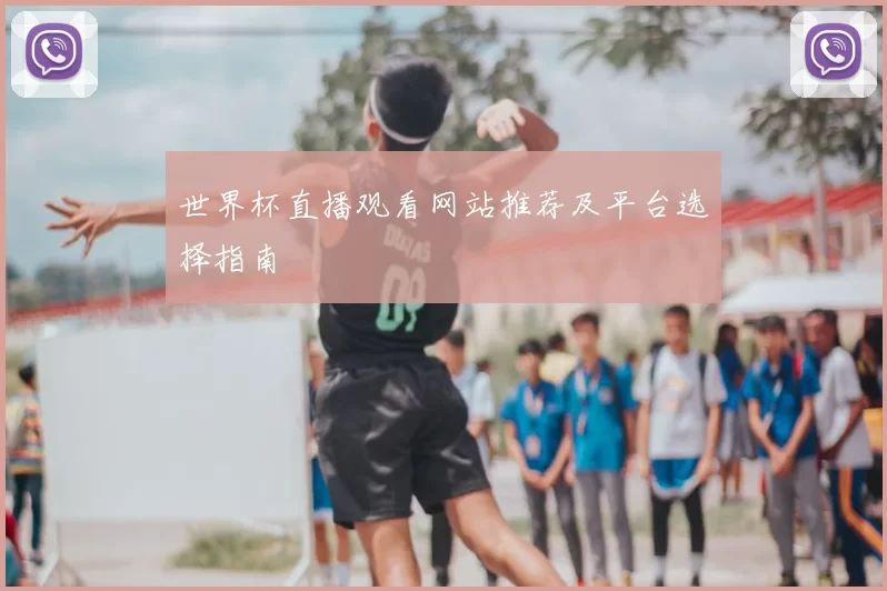 世界杯直播观看网站推荐及平台选择指南
