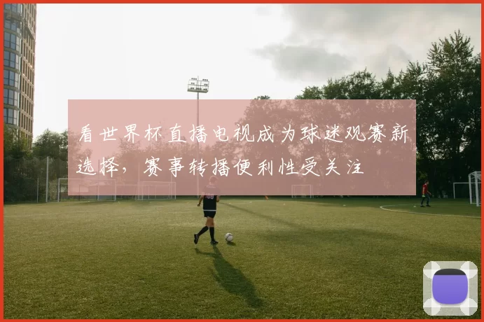 看世界杯直播电视成为球迷观赛新选择，赛事转播便利性受关注