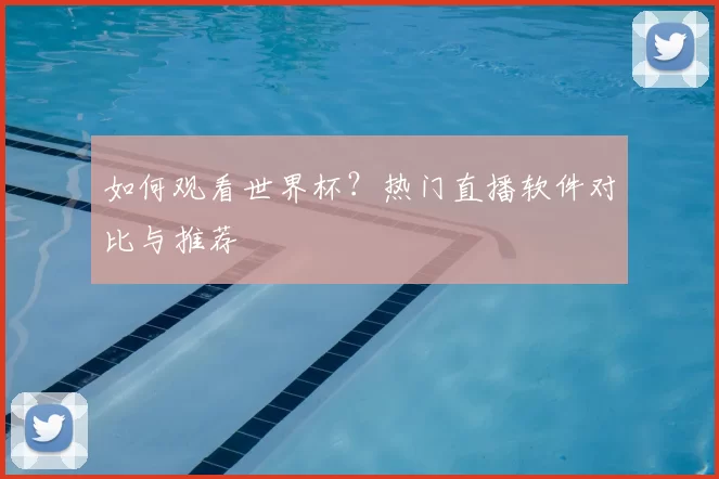如何观看世界杯?热门直播软件对比与推荐