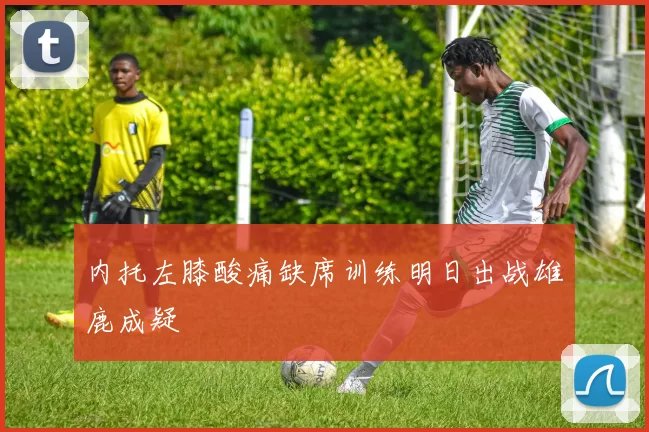 内托左膝酸痛缺席训练明日出战雄鹿成疑