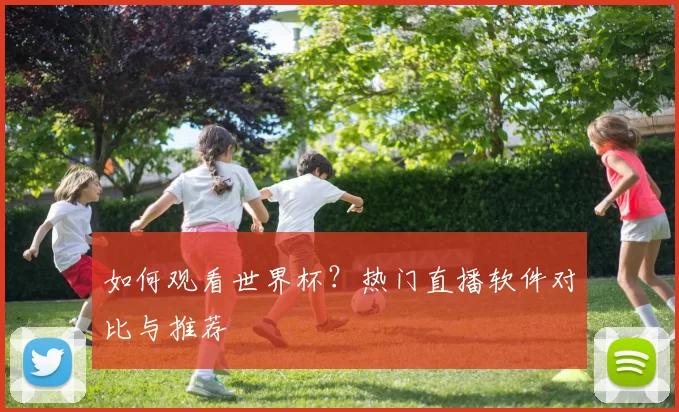 如何观看世界杯?热门直播软件对比与推荐