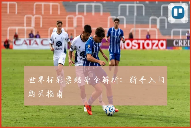 世界杯彩票赔率全解析:新手入门购买指南