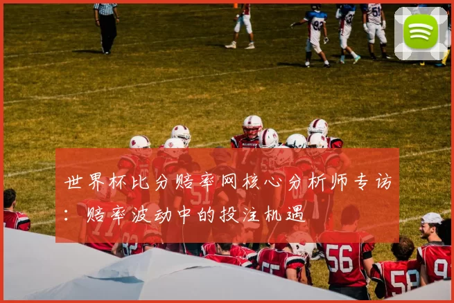 世界杯比分赔率网核心分析师专访:赔率波动中的投注机遇